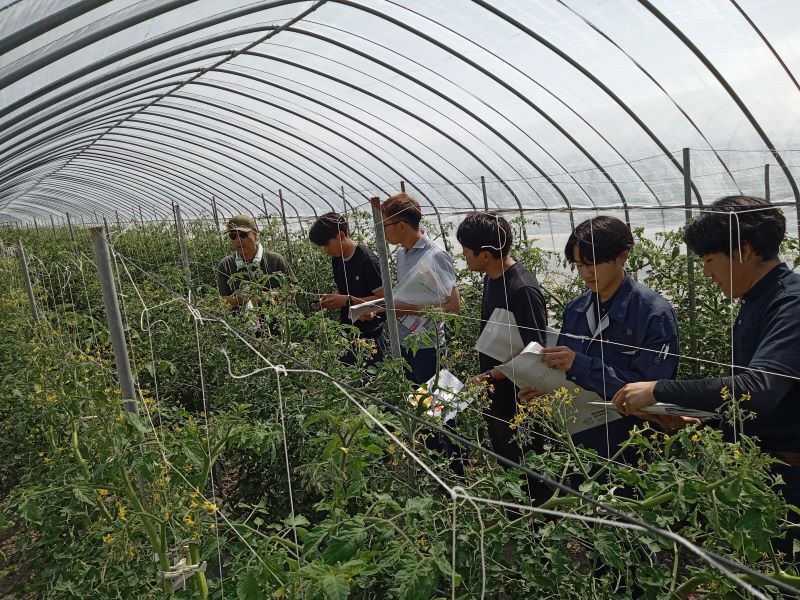 写真2 ミニトマトを勉強中！！