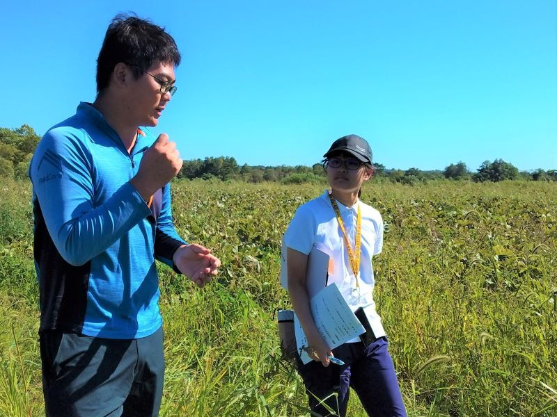 写真1 かぼちゃ試験