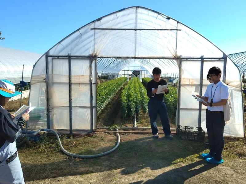 写真2 ゆり細霧冷房
