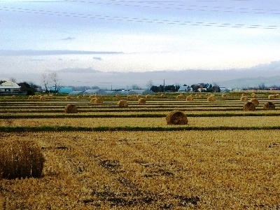 (秋)秋の風景2大.jpg
