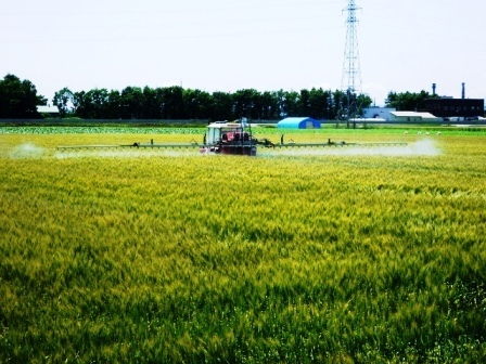 (夏)防除風景大.jpg