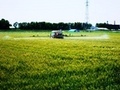 (夏)防除風景.jpg