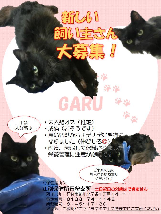 キャプチャ.JPG