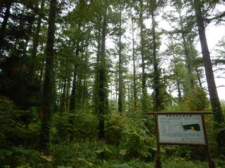 DSCN3328.JPG