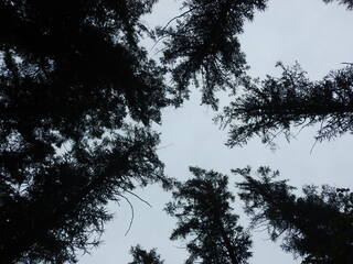 DSCN3338.JPG