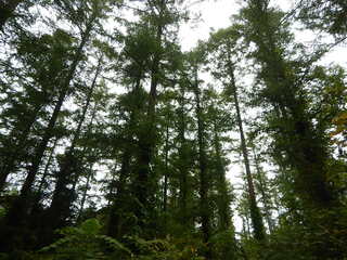 DSCN3339.JPG
