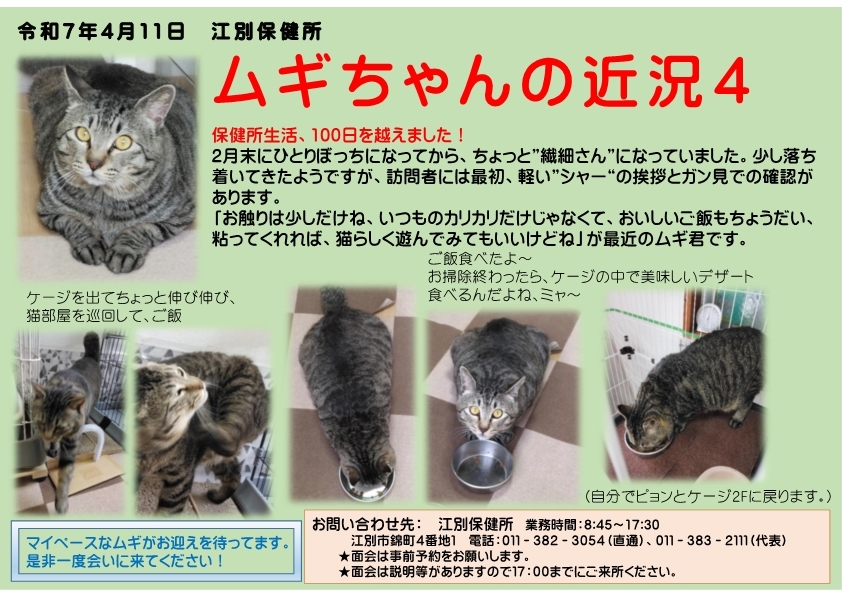 ムギの近況4.jpg