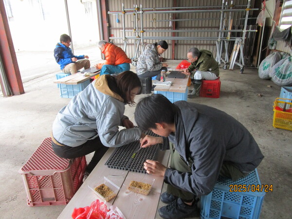写真1＿みんなでは種作業！