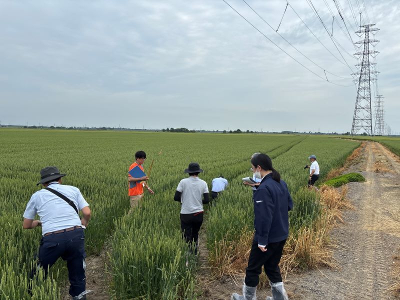 写真2＿小麦を見ながら質疑応答