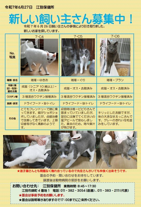 20250627飼い主募集.jpg