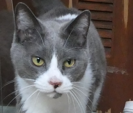 ぐり.JPG