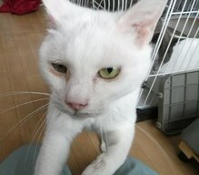 ゆきお.JPG