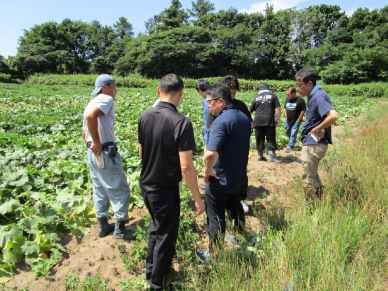 写真１＿着果状況を確認する関係者