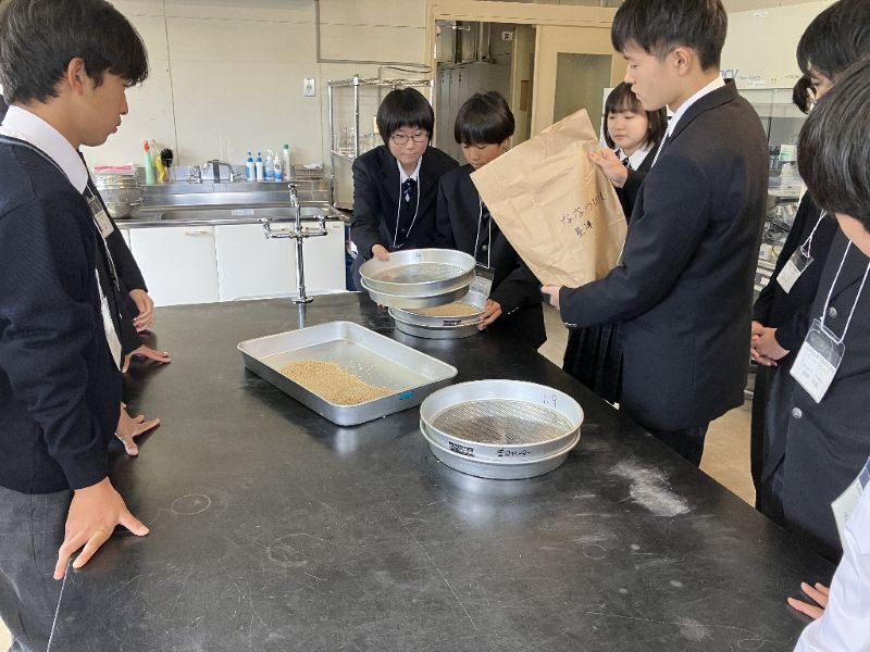 玄米をふるいにかけて、粒の大きさを調製しています