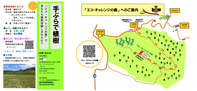 手ぶらで植樹チラシ