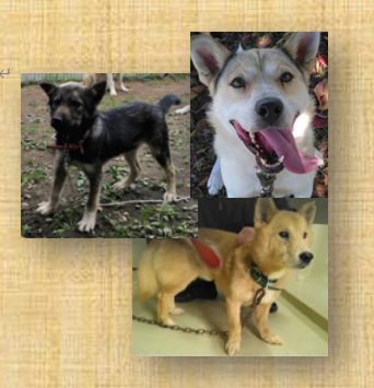 スクリーンショット 2025-11-11 122315.png