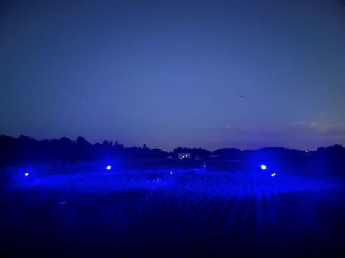 試験ほ場（千歳市）の夜の風景