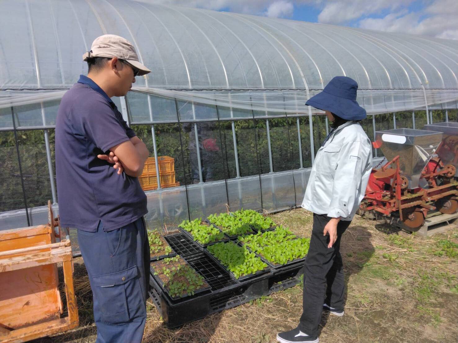 写真2:作物の育苗方法の聞き取り