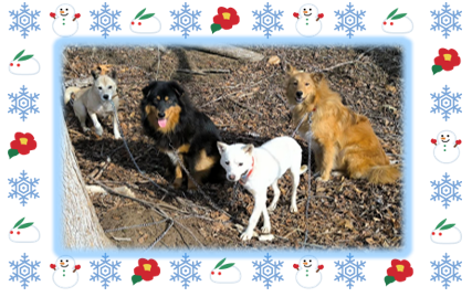 スクリーンショット 2026-01-13 130553.png