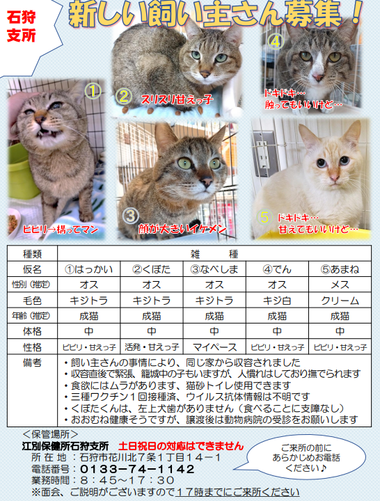 江別保健所石狩支所飼い主探しノート