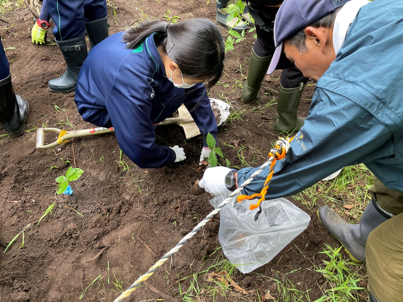 木育教育の様子
