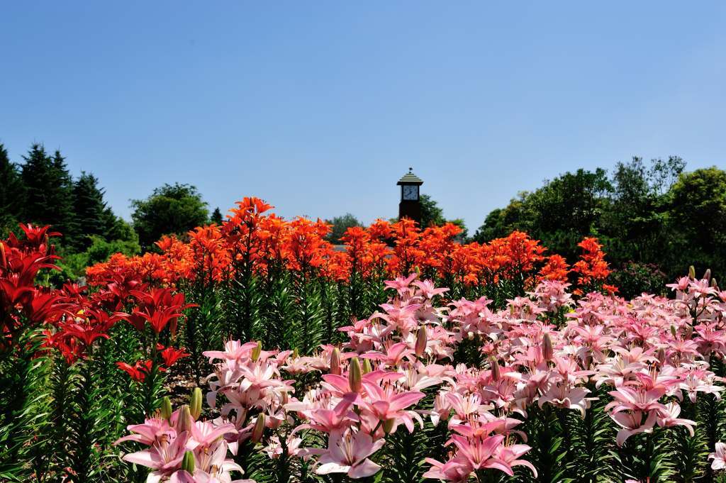 374_kitaku_yurigahara-park-2.jpg