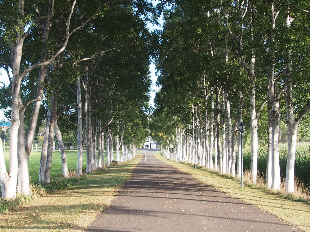 449-rakunougakuensirakaba-2.jpg
