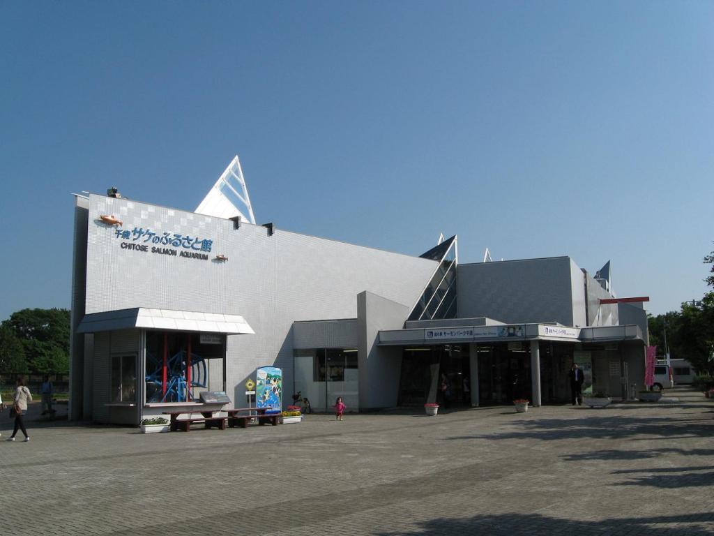 084_SalmonAquarium-Chitose-2.jpg
