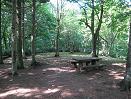 058_RecerationForest2-Kitahiroshima-1.JPG
