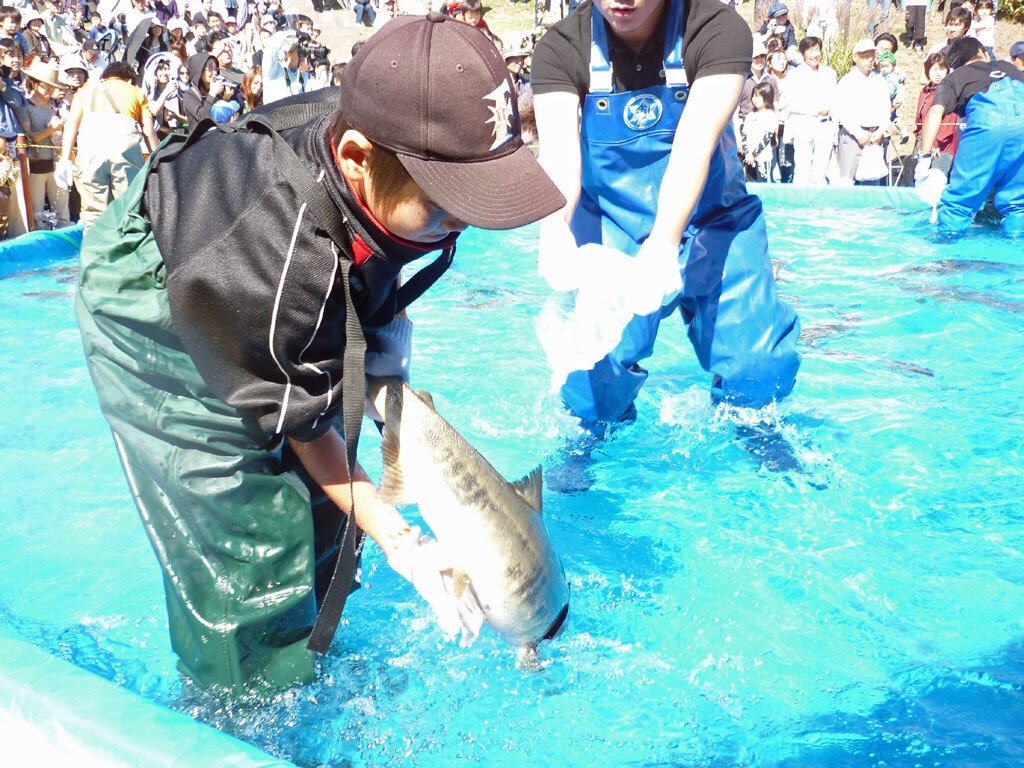 194_sake-isikari-2.jpg