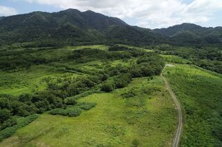 神居尻山の麓に広がる「水源の森」