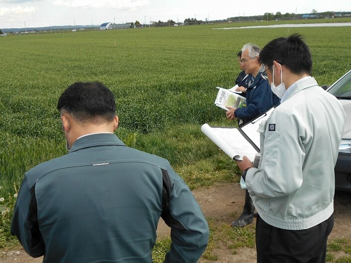 写真2 6月の水稲栽培管理を確認。