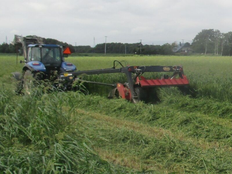 写真1 早めに水田の水を切り牧草収穫機で刈り取り作業。
