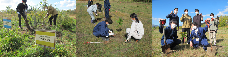 植樹の様子